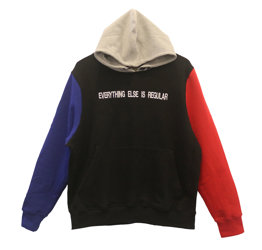 Everything Else is Regular Multi Color Hoodie